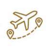 acupuncture pathways amenity icon