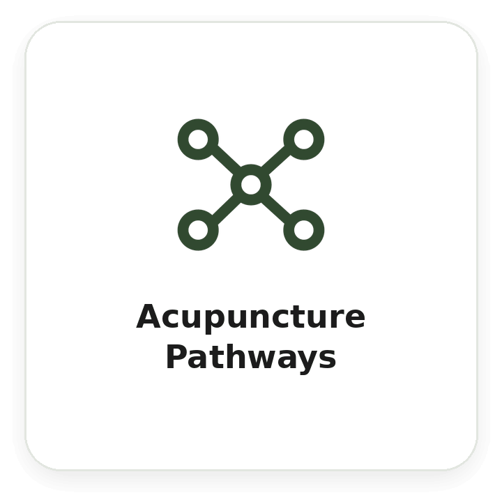 acupuncture pathways amenity icon